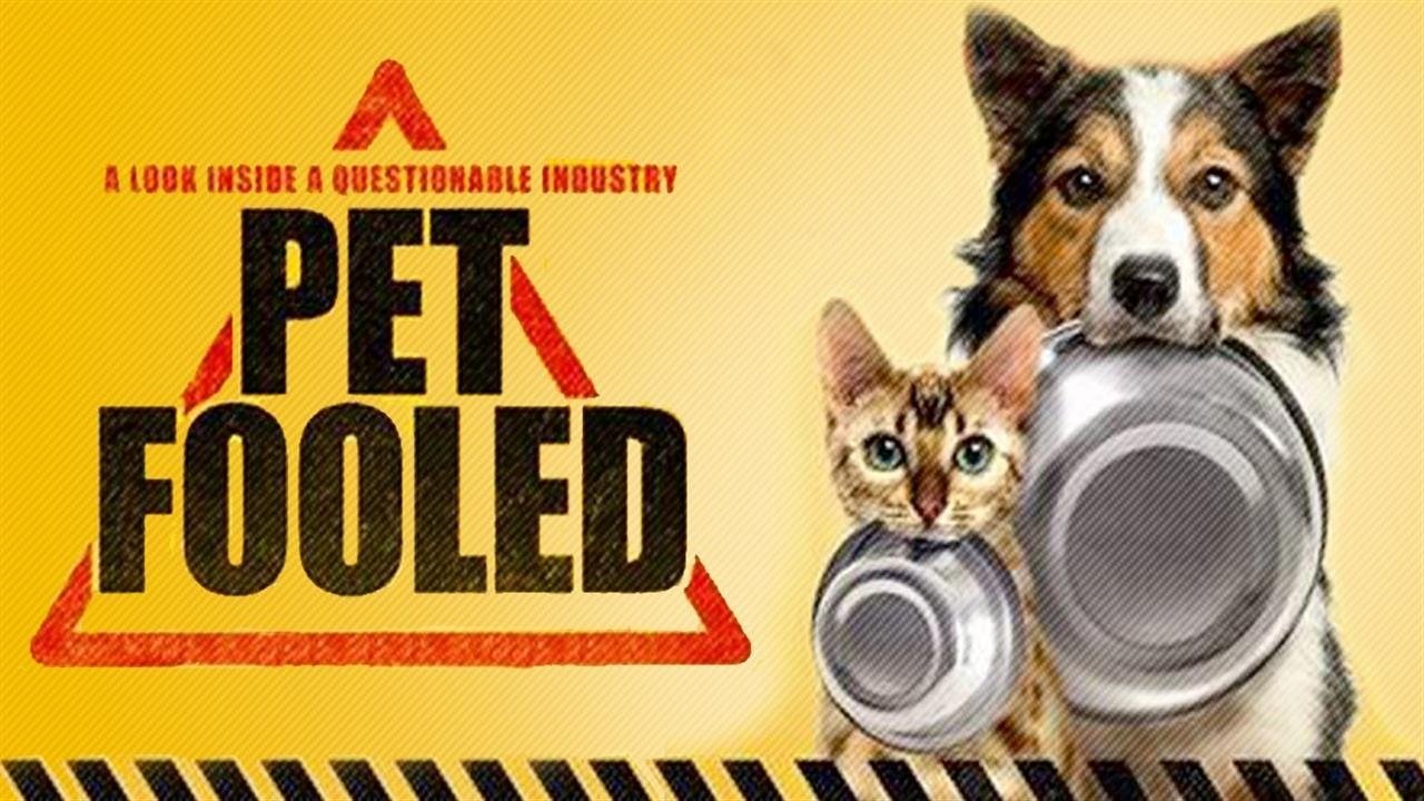 Pet Fooled Background