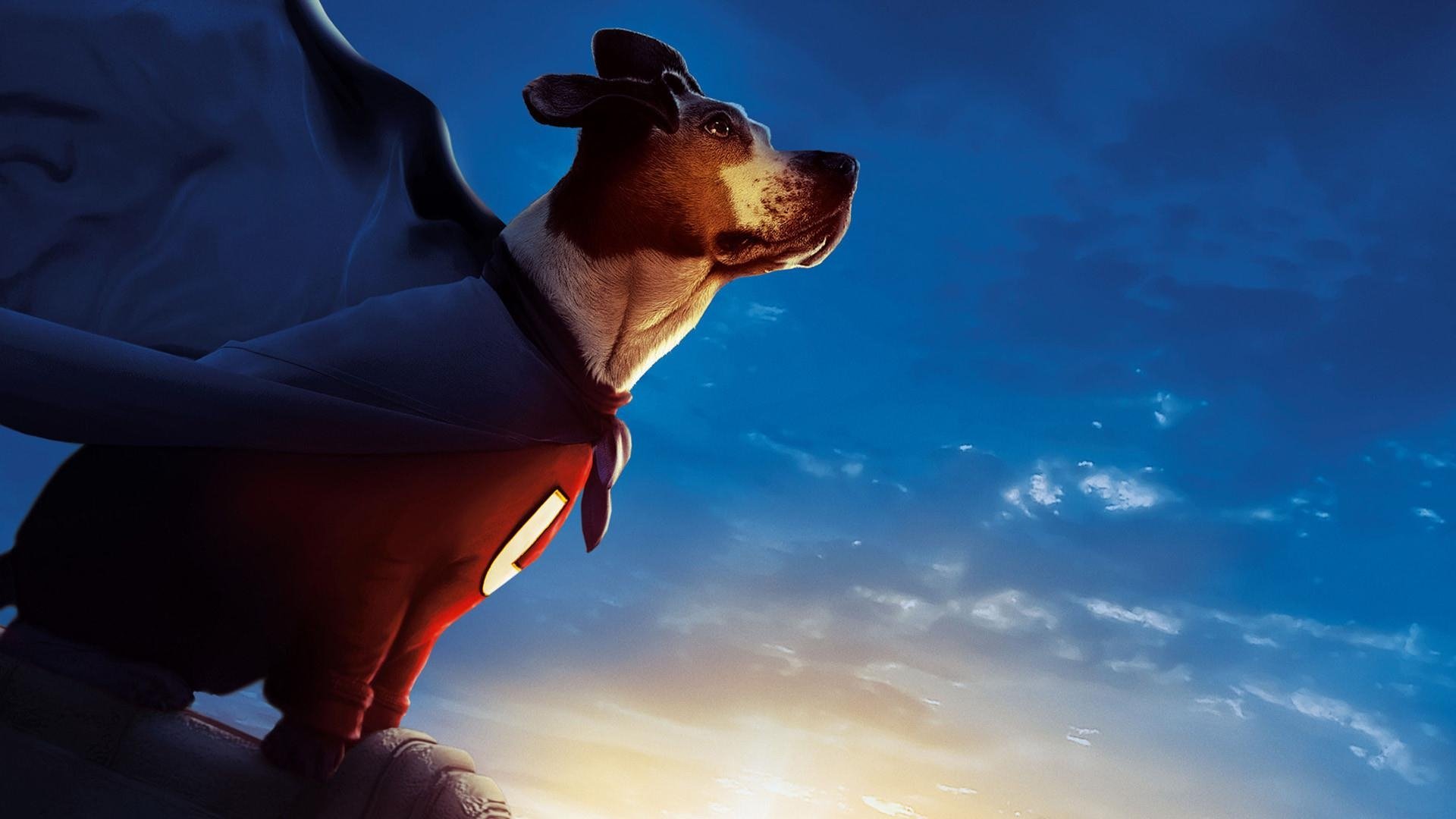 Underdog Background