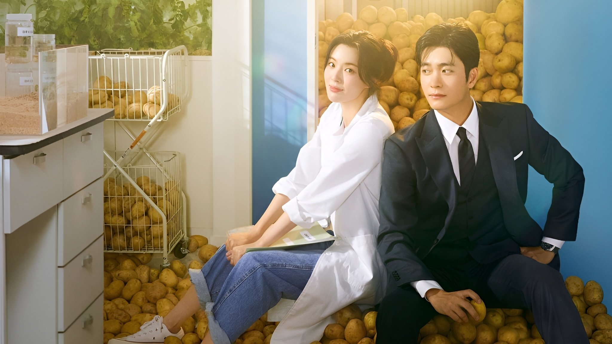 The Potato Lab Background