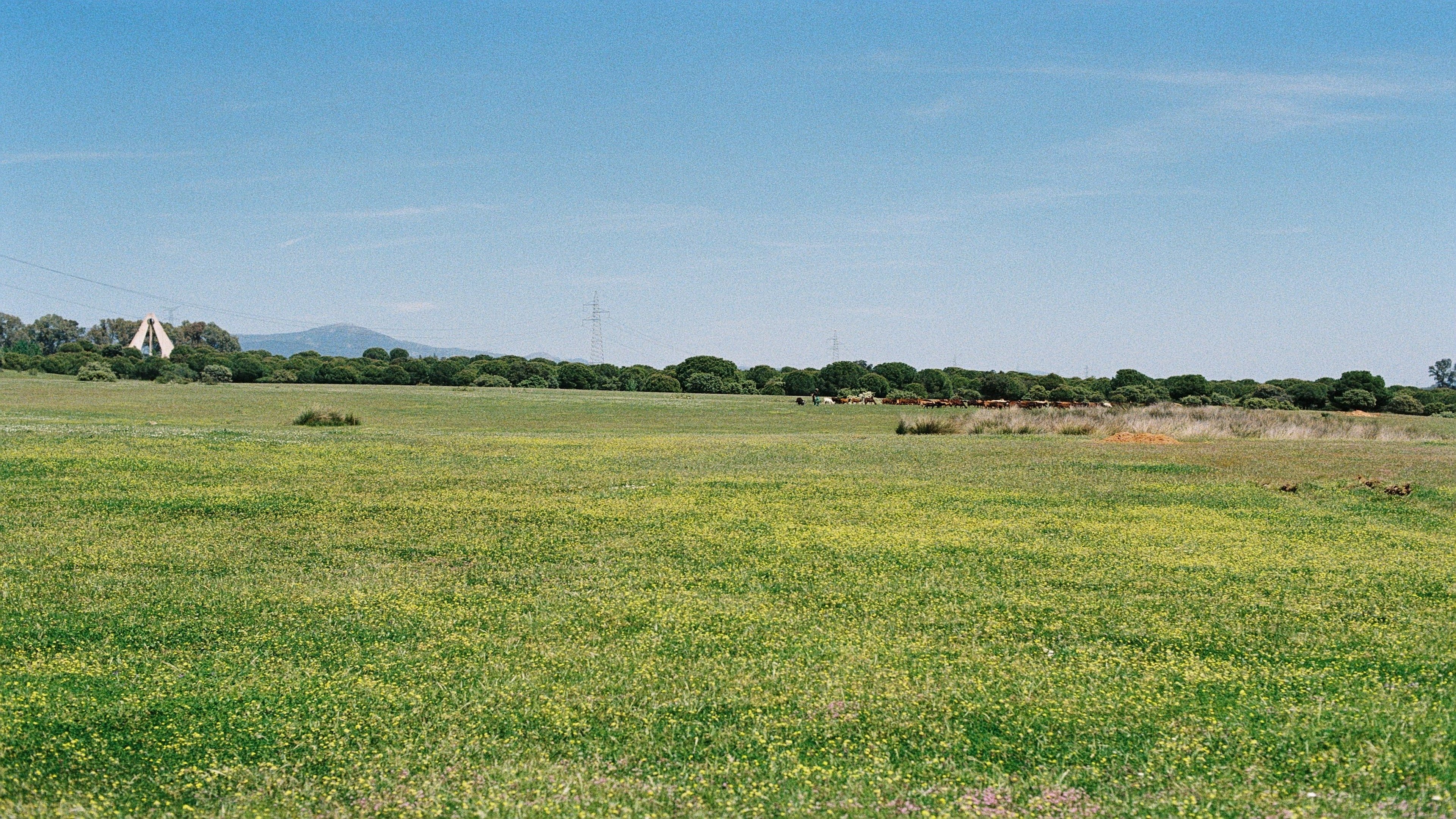 Óxido Background