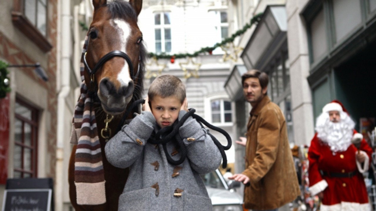The Horse on the Balcony Background