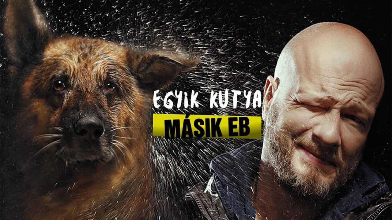 Dog Background