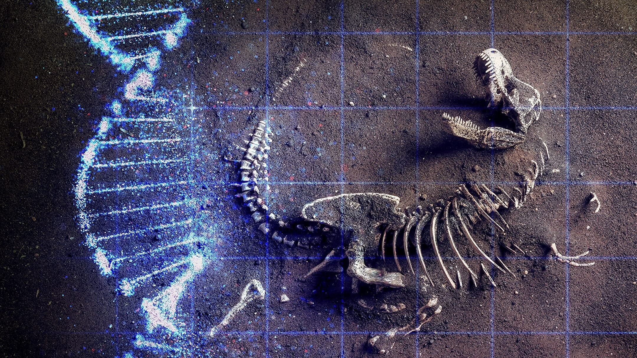 The Real T Rex with Chris Packham Background