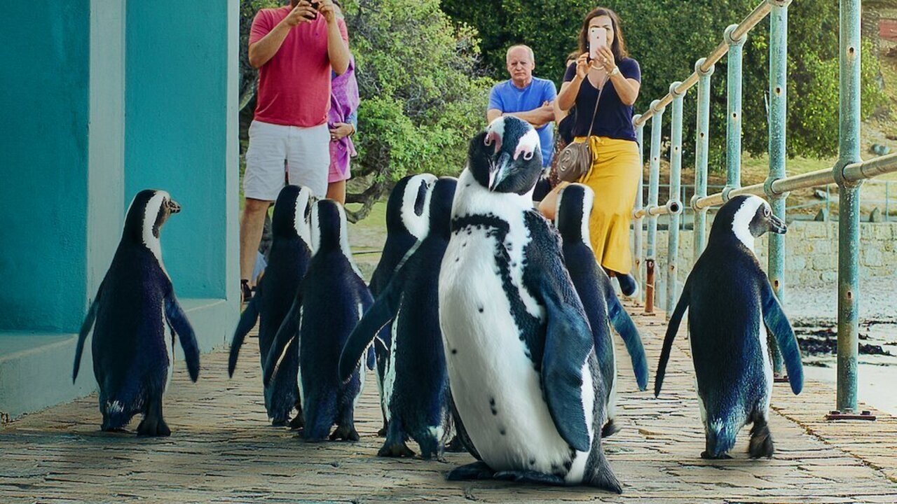 Penguin Town Background