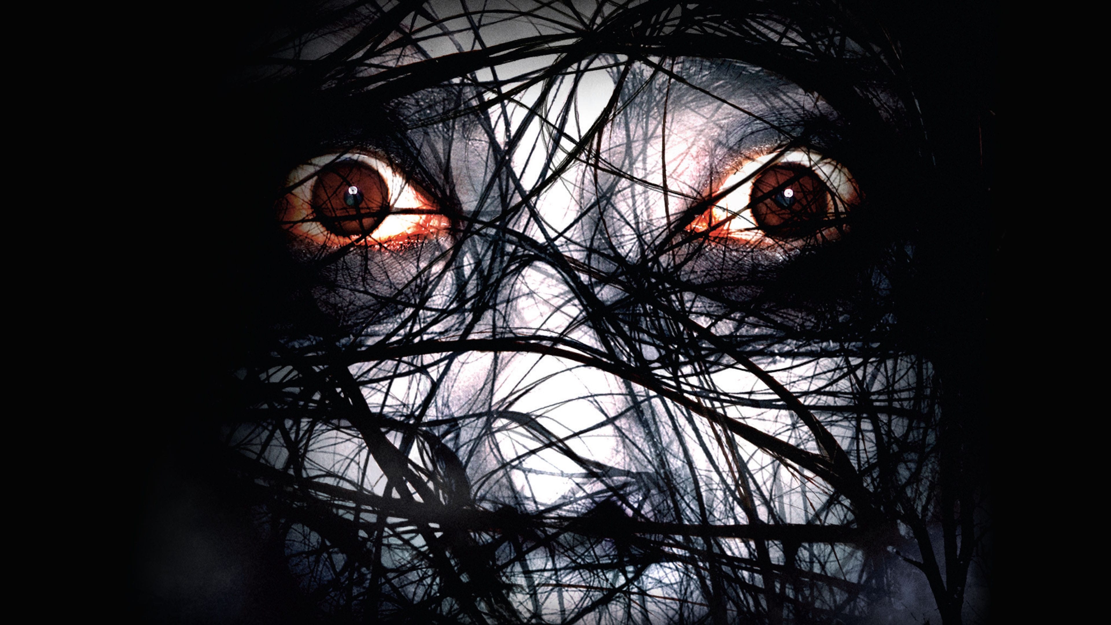 The Grudge 2 Background