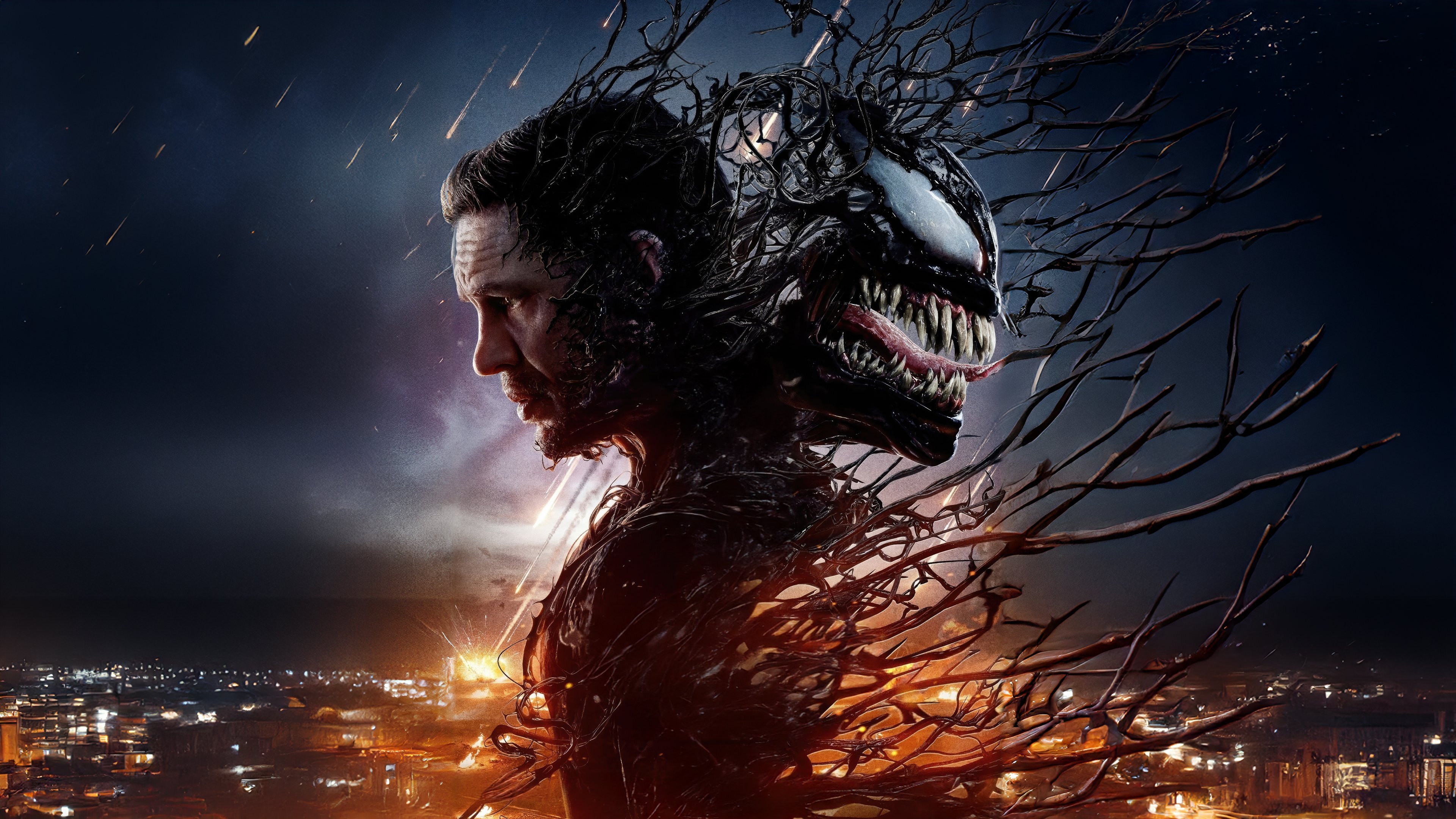 Venom: The Last Dance Background
