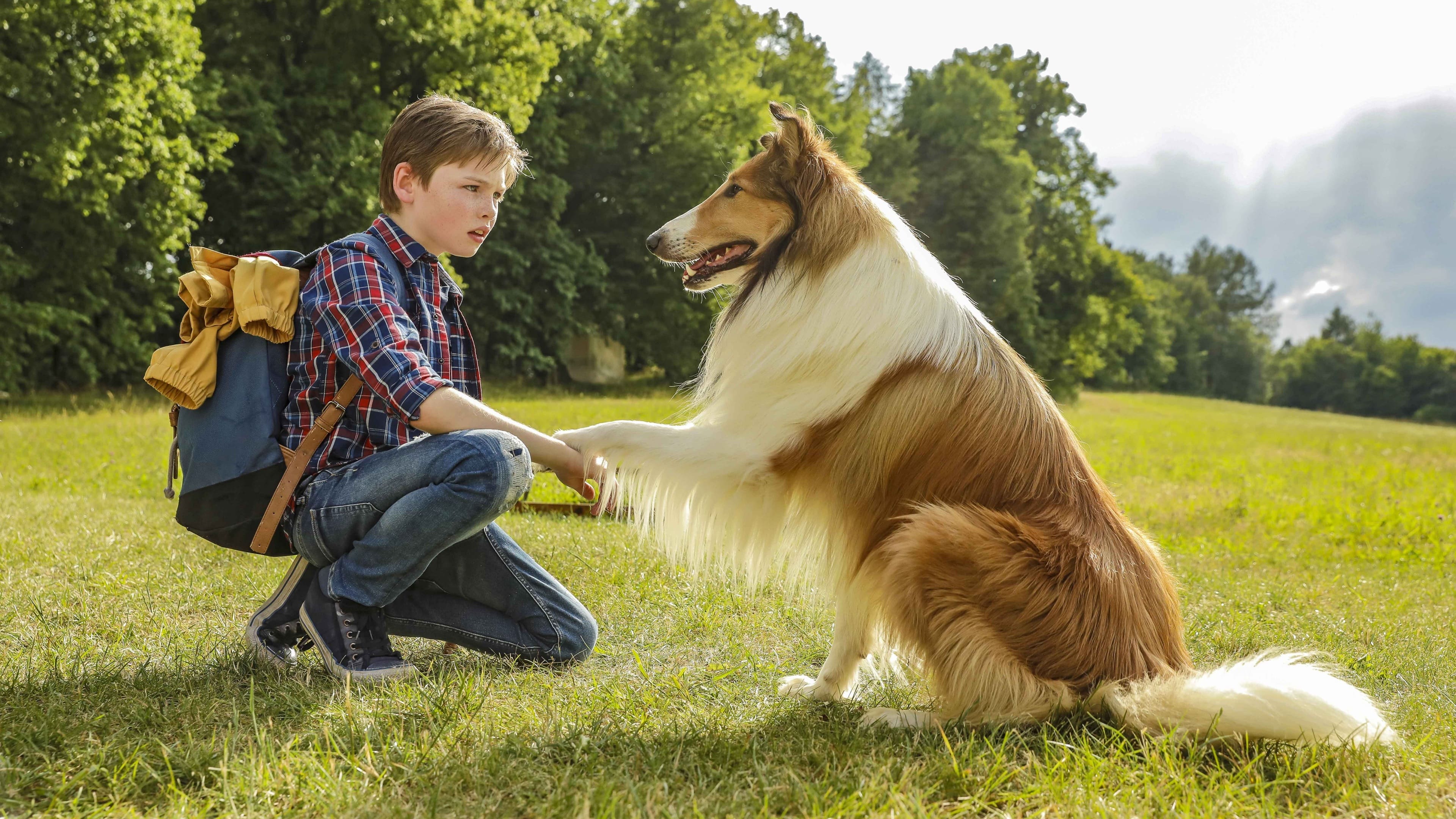 Lassie - Eine abenteuerliche Reise Background
