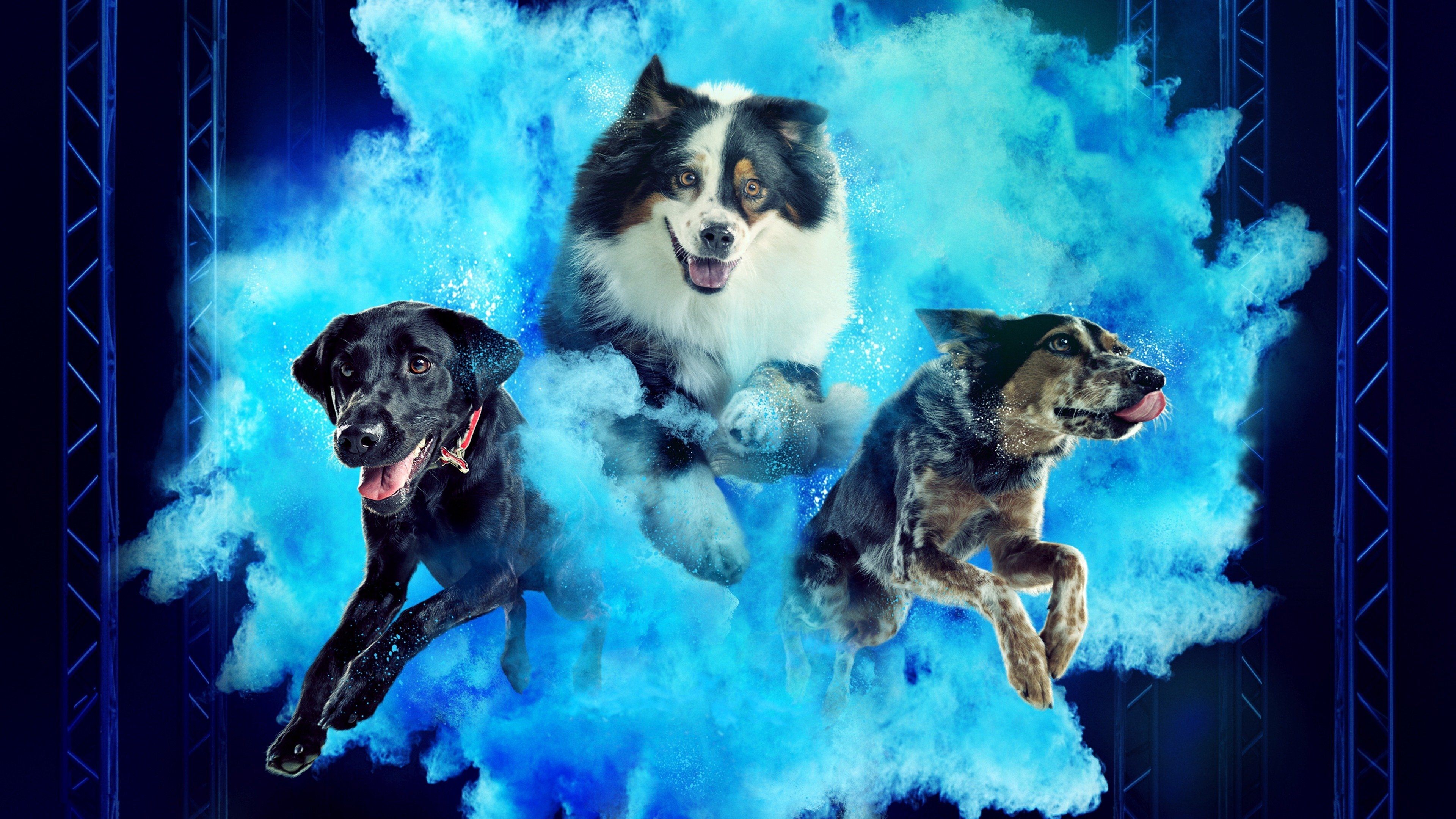 America's Top Dog Background