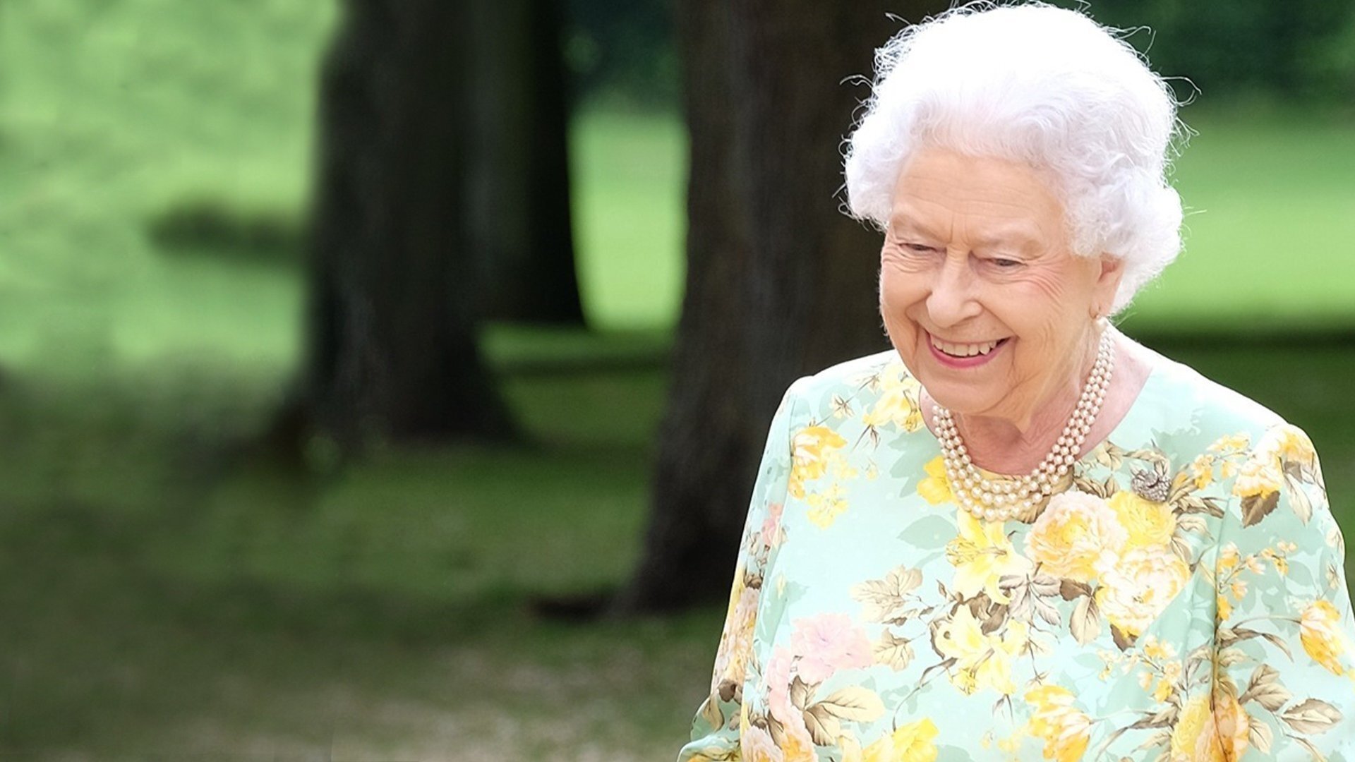 The Queen's Green Planet Background
