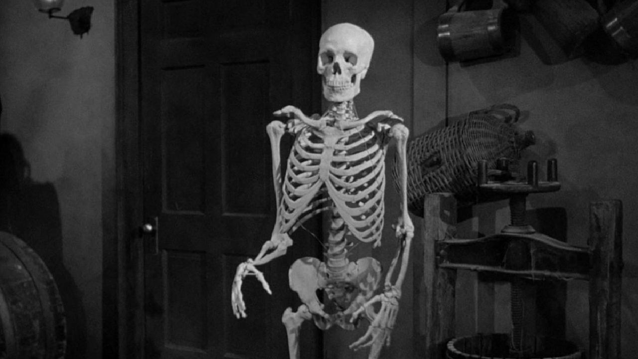 The Lost Skeleton of Cadavra Background