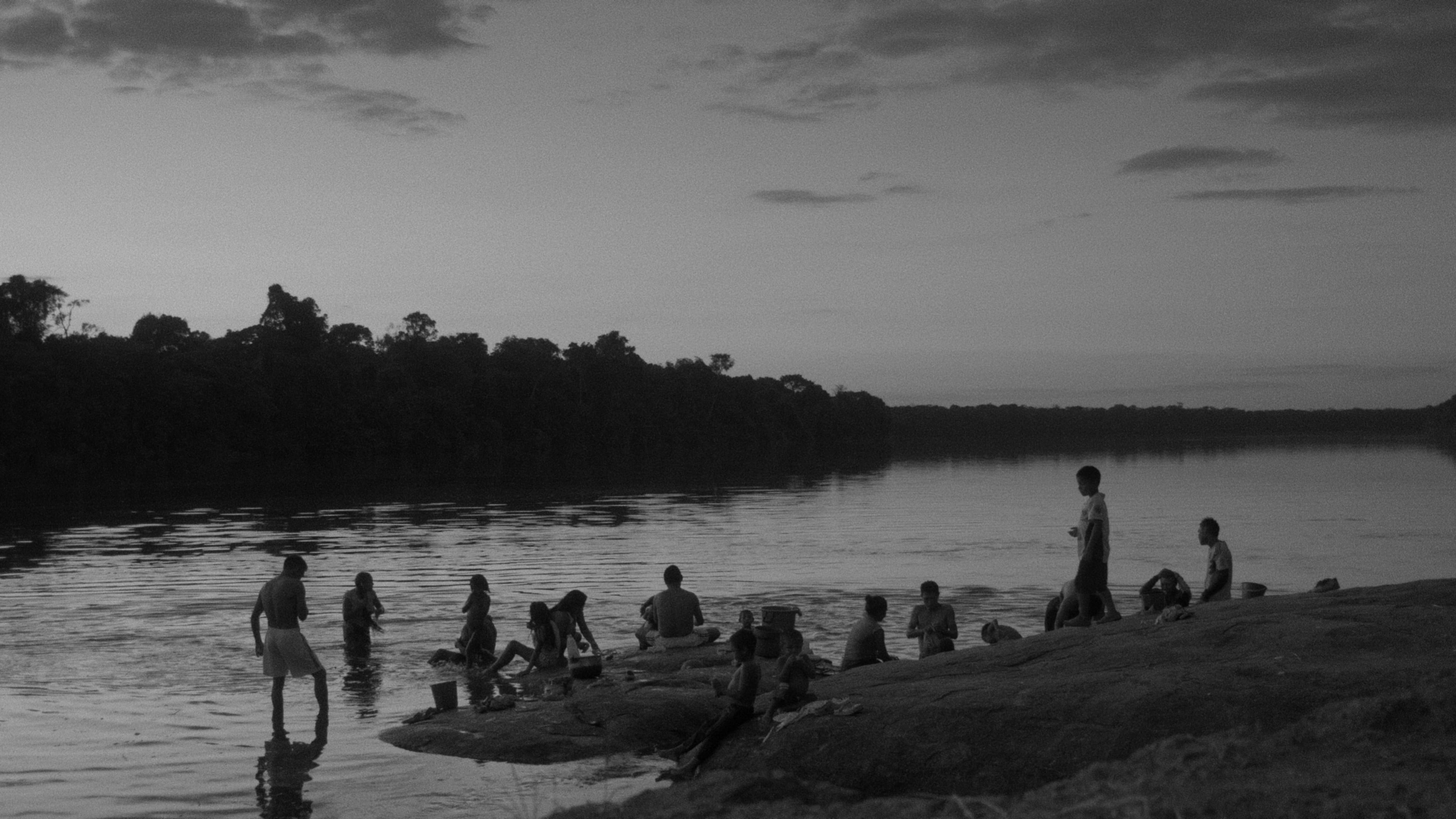 Adieu sauvage Background