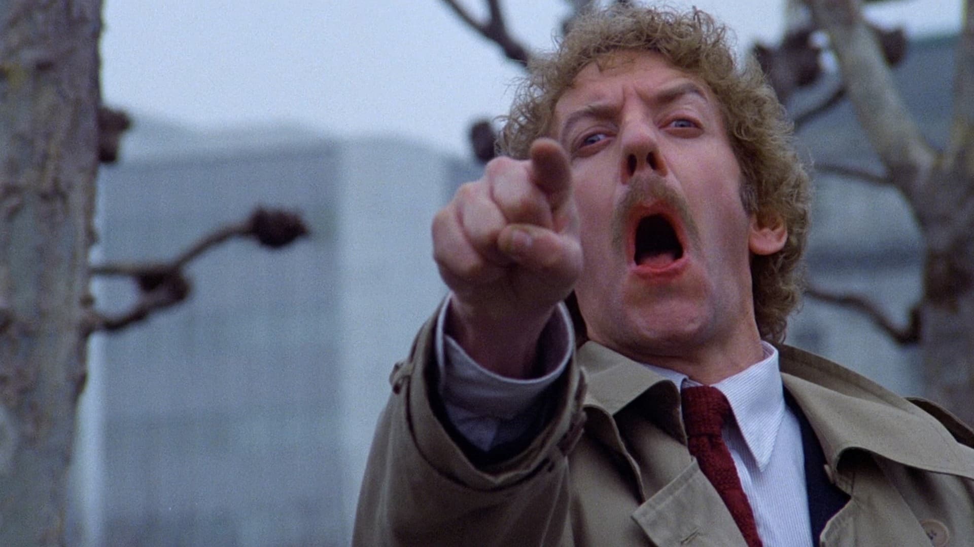 Invasion of the Body Snatchers Background
