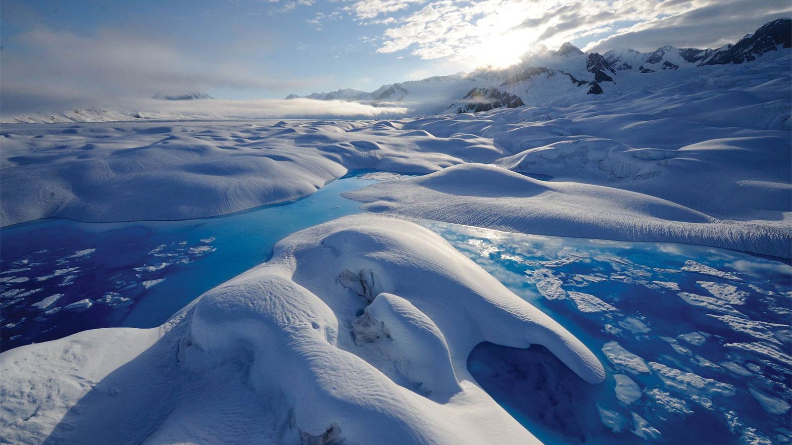 Climate Change: Our Planet - The Arctic Story Background