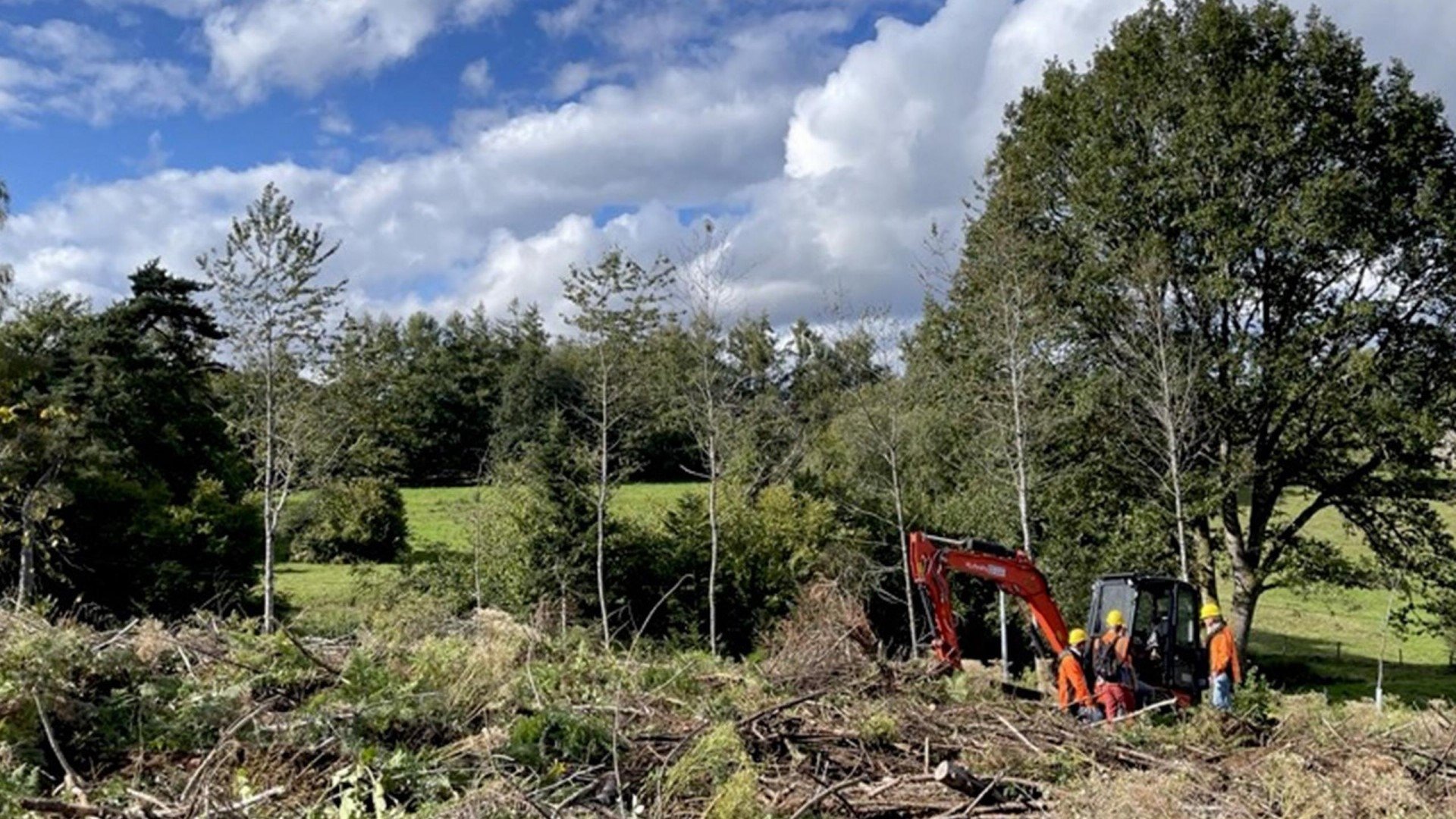 Forêts françaises en quête d'avenir Background