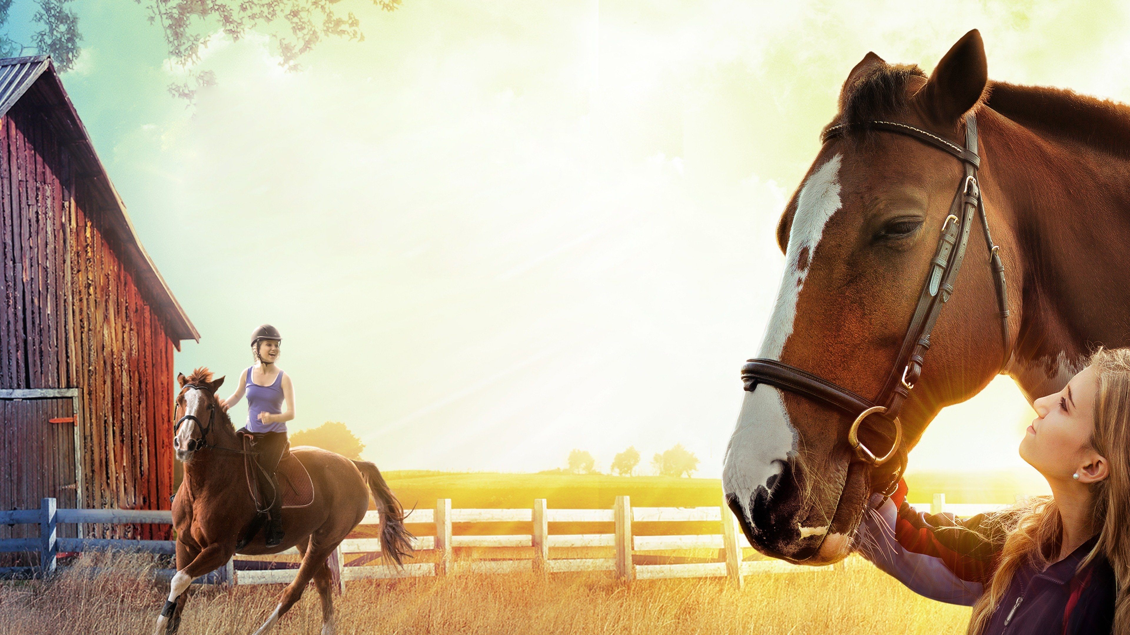 The Horse Dancer Background