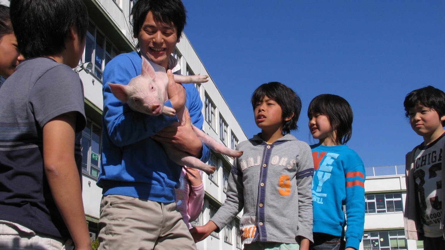 School Days with a Pig Background