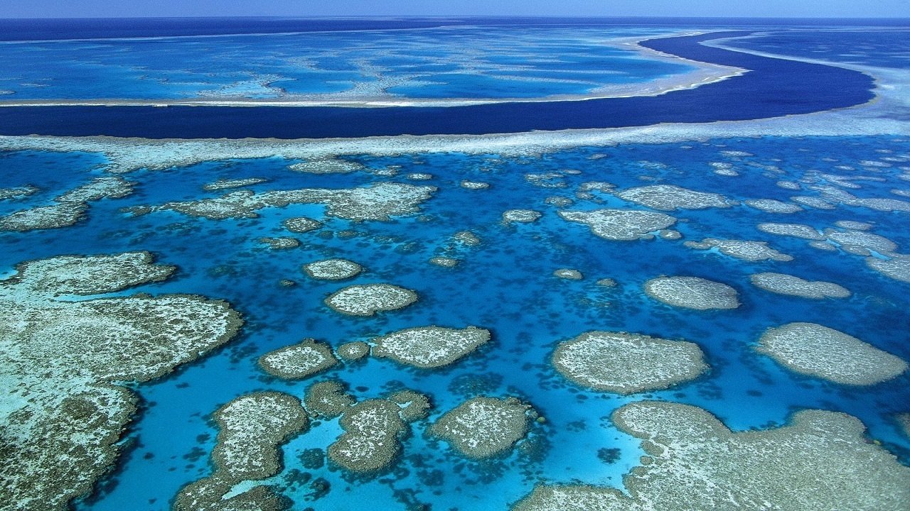 Billy Connolly's World Tour of Australia Background