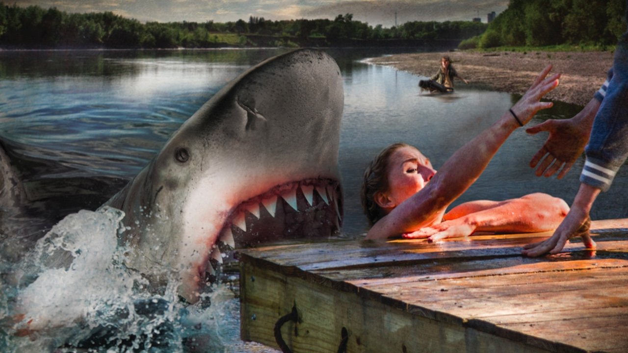 Ozark Sharks Background