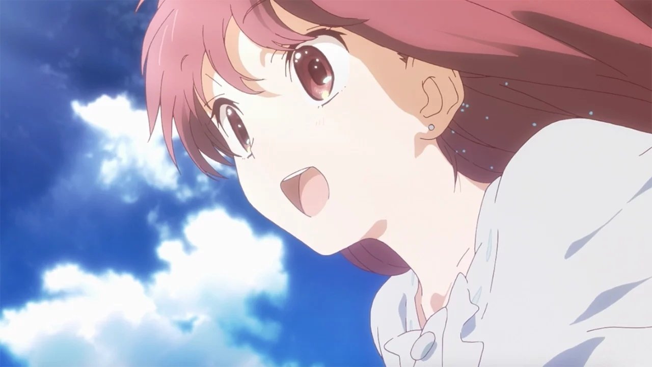 Shelter Background