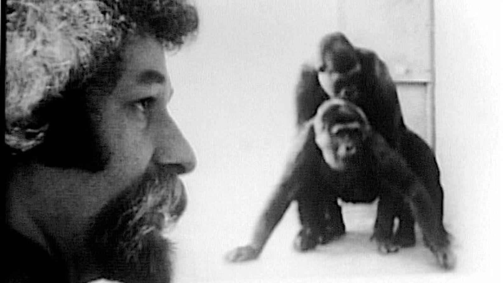 Primate Background