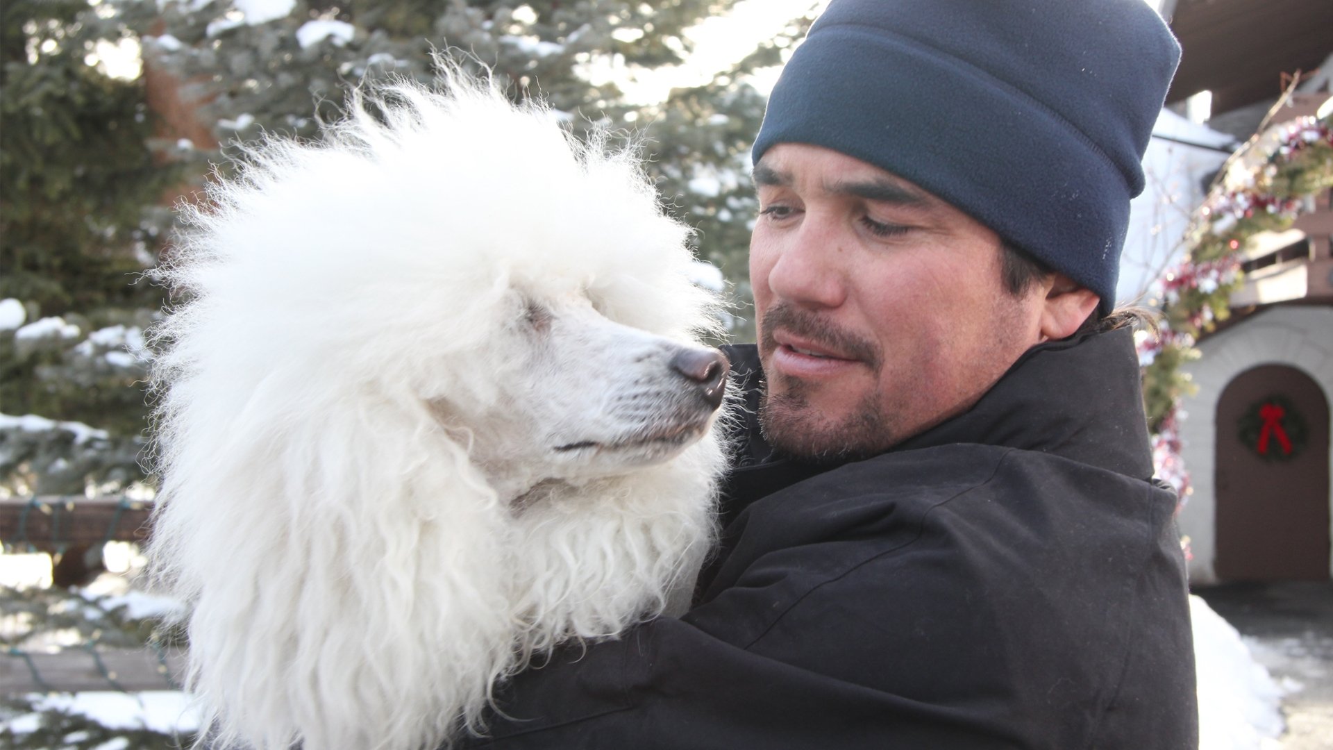 The Dog Who Saved Christmas Vacation Background