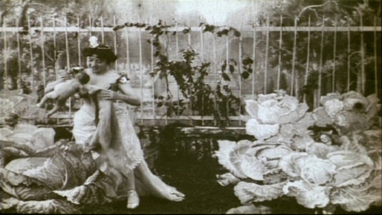The Cabbage-Patch Fairy Background