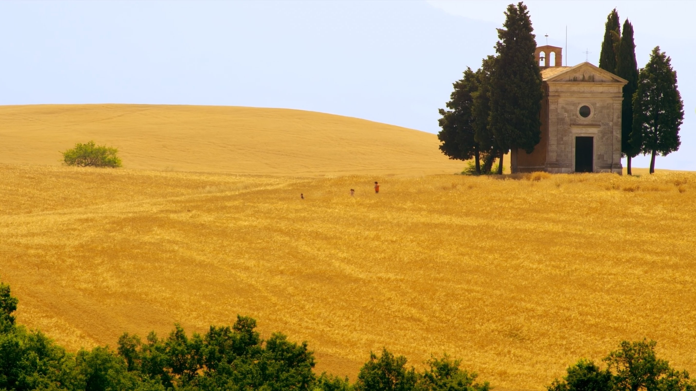 Mare di grano Background