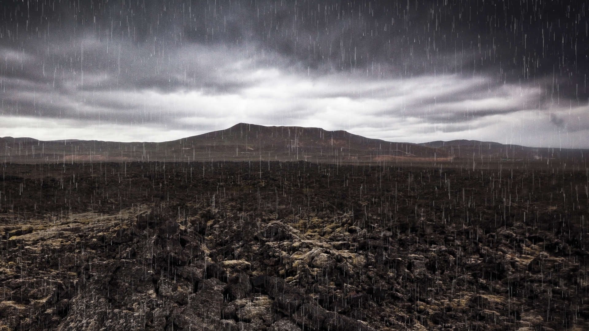 Mass Extinction: Life at the Brink Background