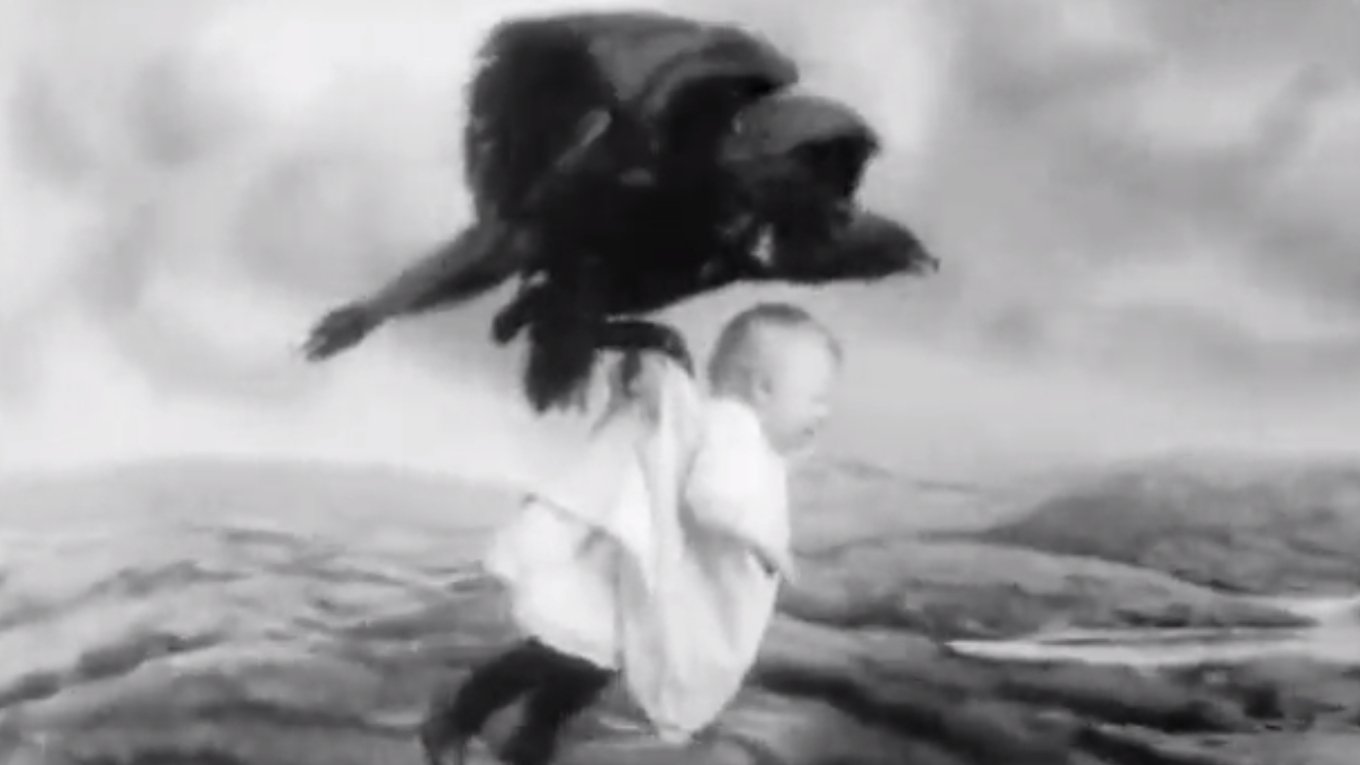 Rescued from an Eagle's Nest Background