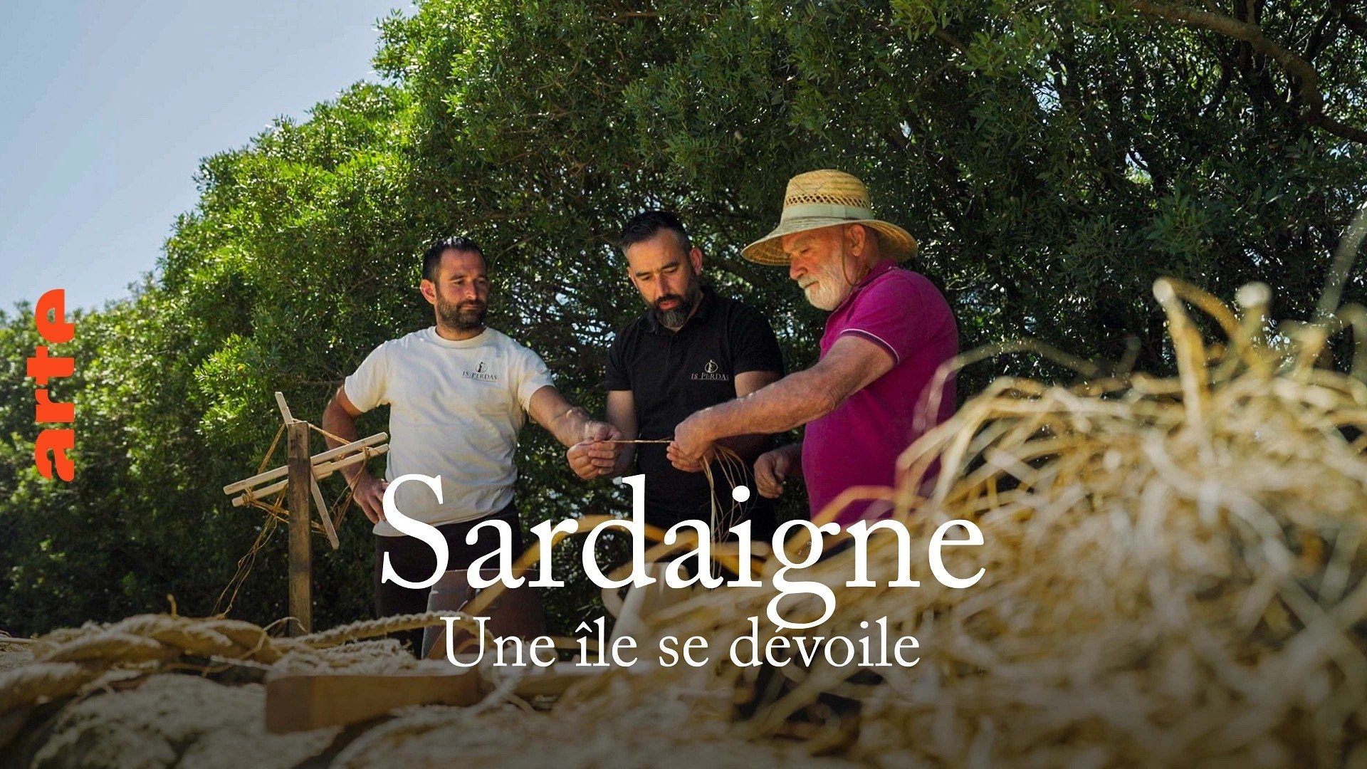 Sardinien, der kleine Kontinent im Mittelmeer Background