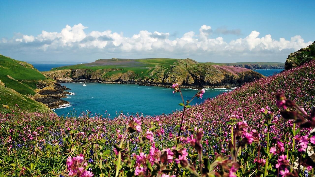 Wales: Great Britain's Wild West Background