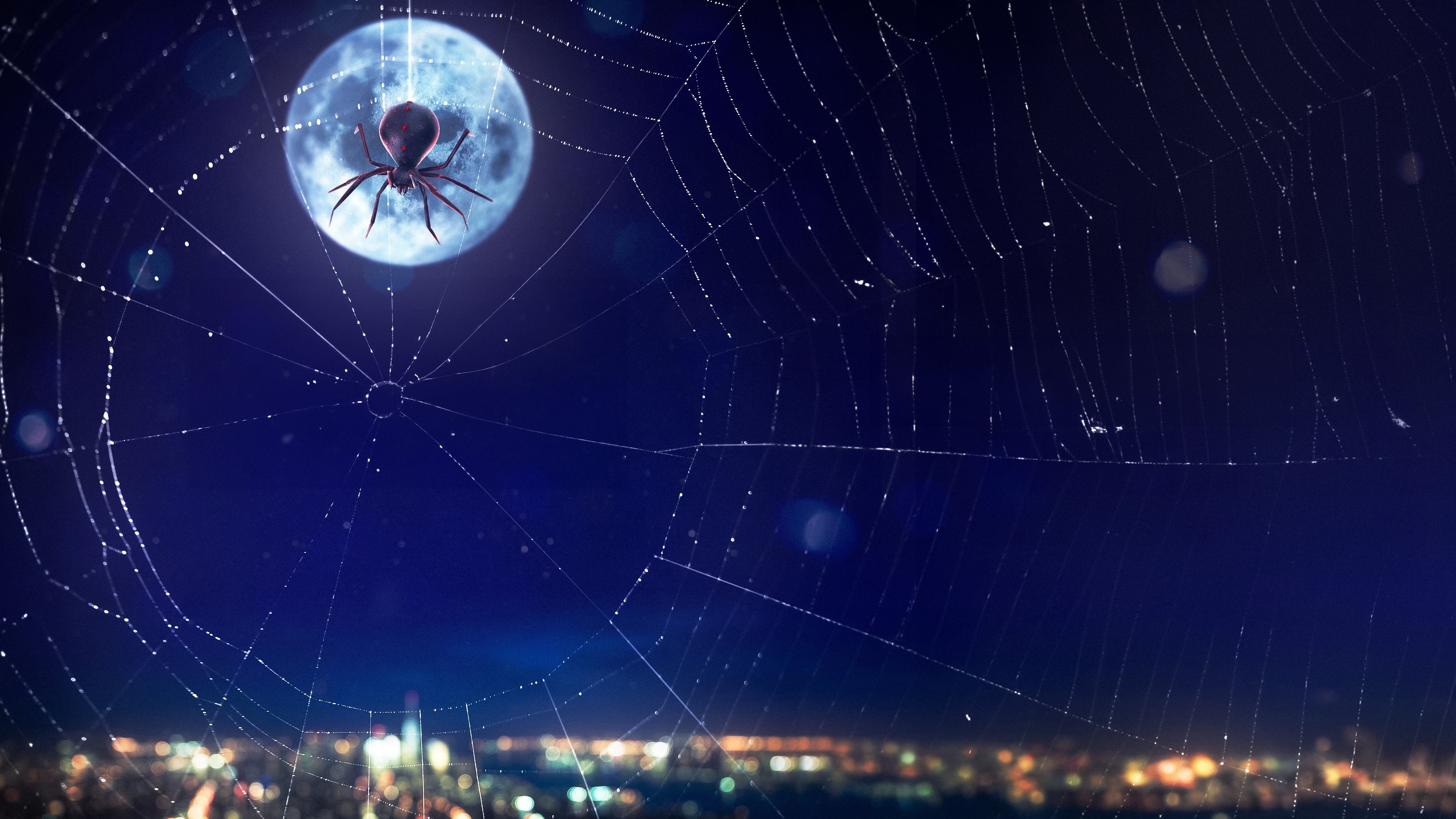 Icons Unearthed: Spider Man Background