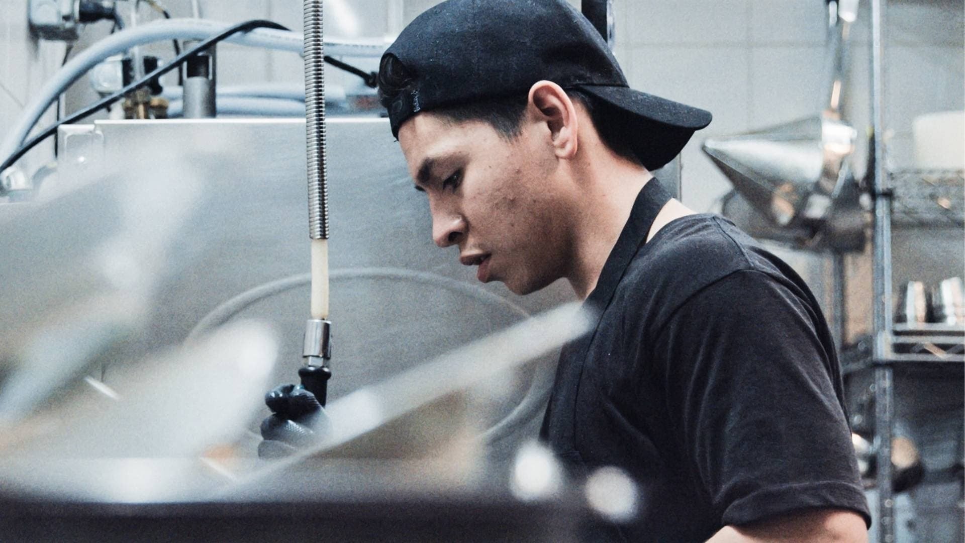 The Dishwasher Background