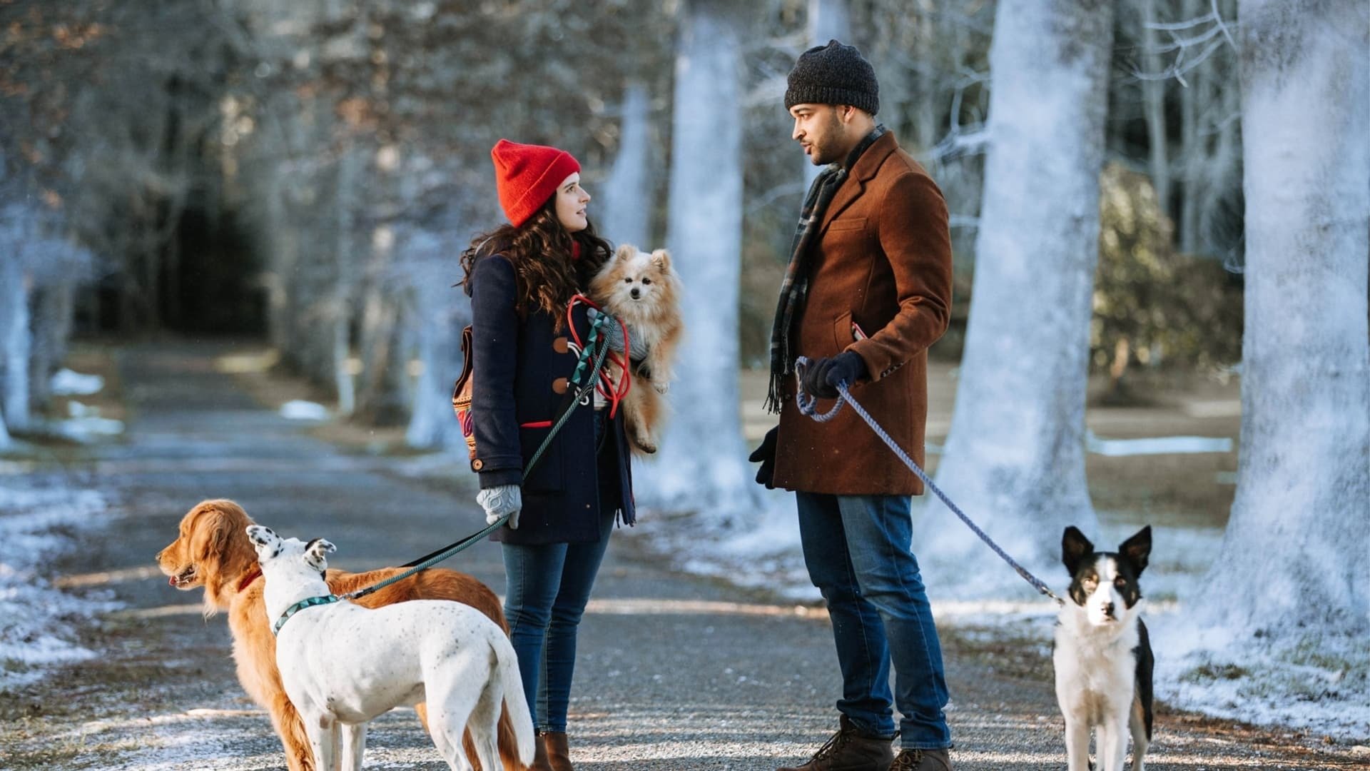 The Dog Days of Christmas Background