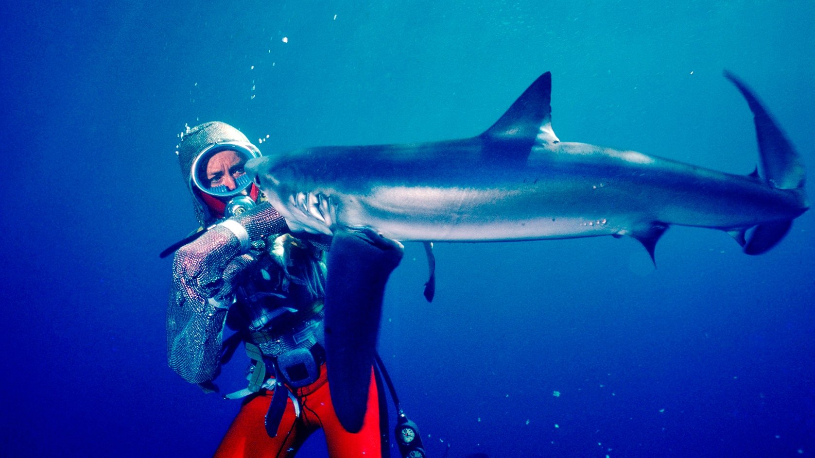 Playing with Sharks Background