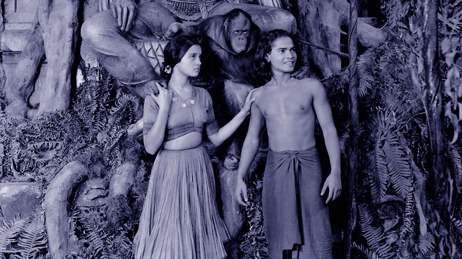 Jungle Book Background