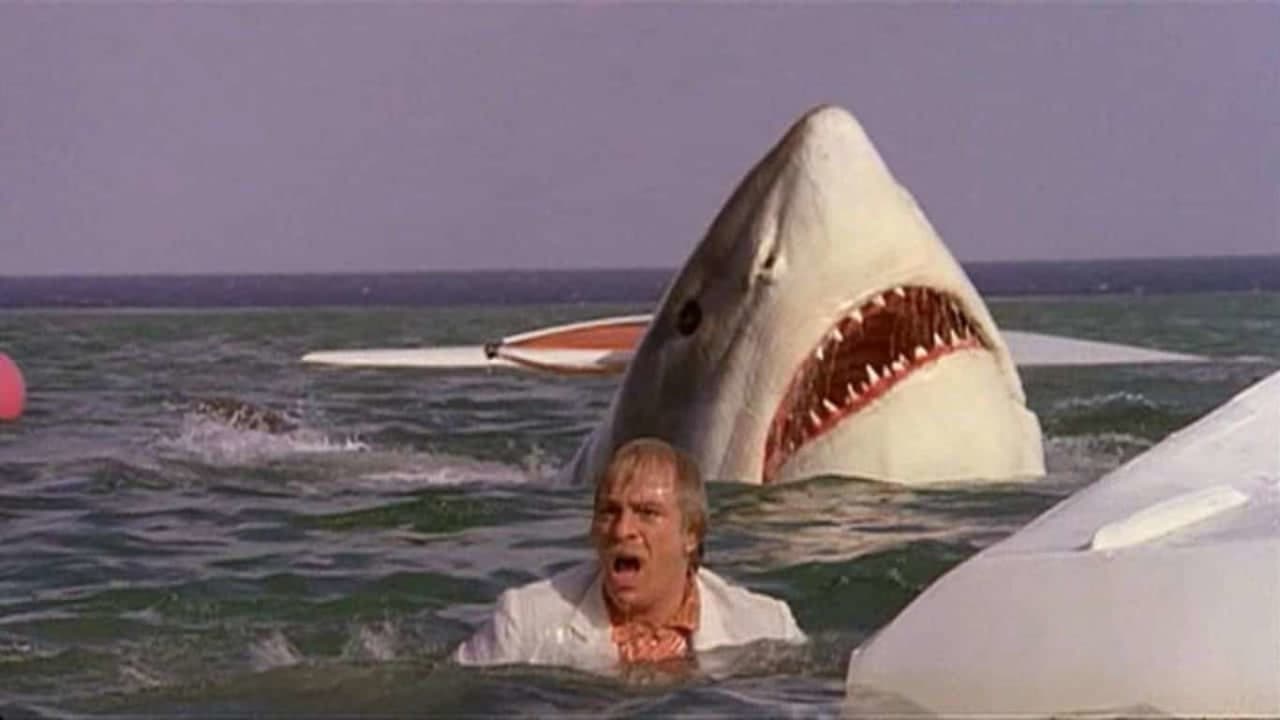 The Last Shark Background