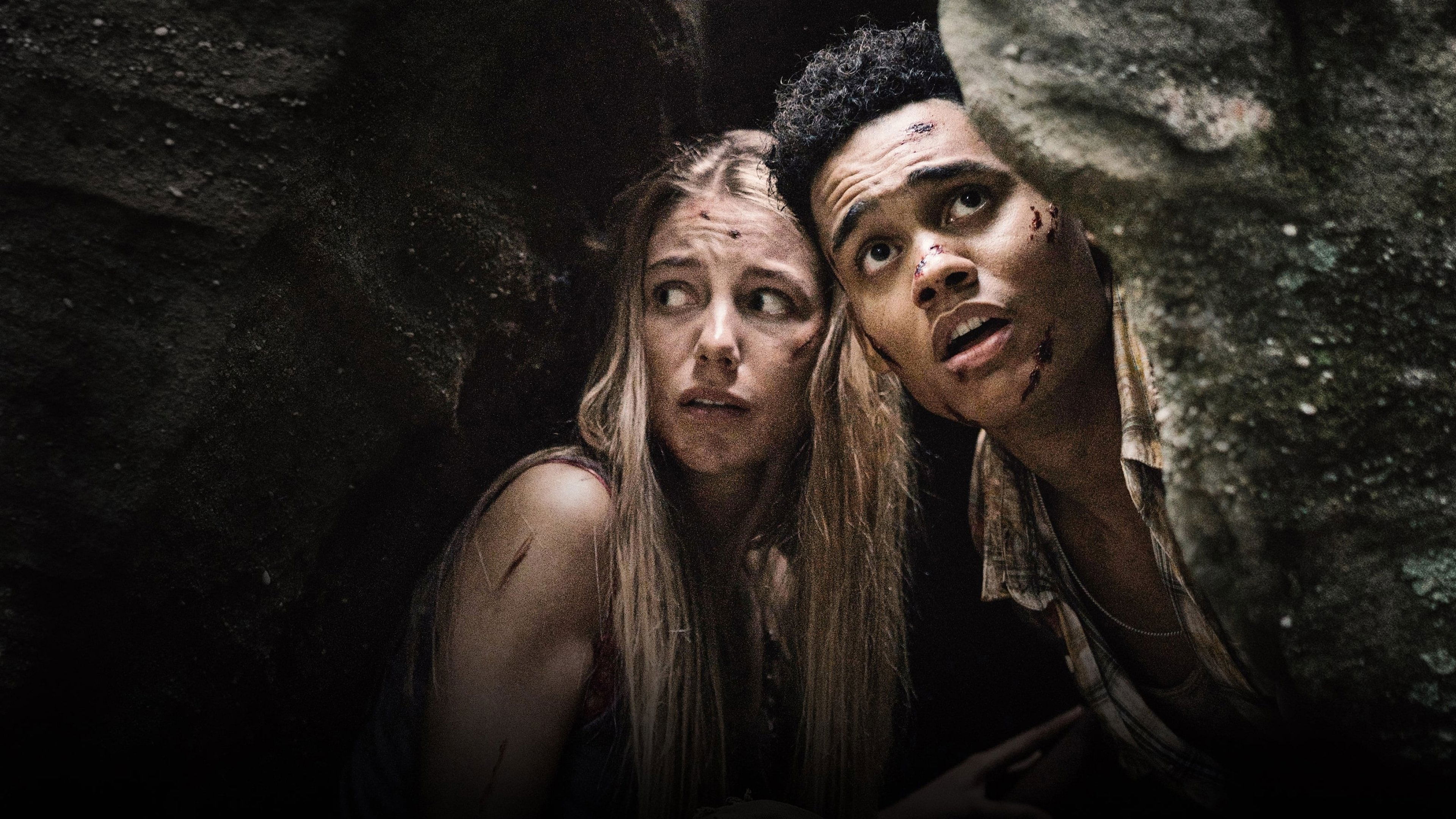 Wrong Turn Background
