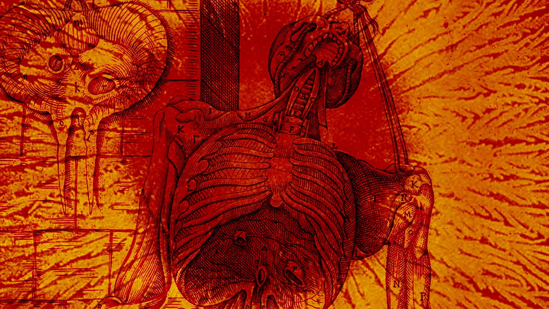 Gut Instinct Background