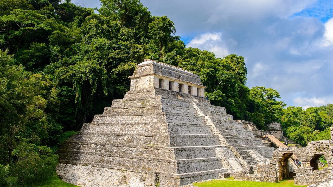A la recherche des tombes royales mayas Background