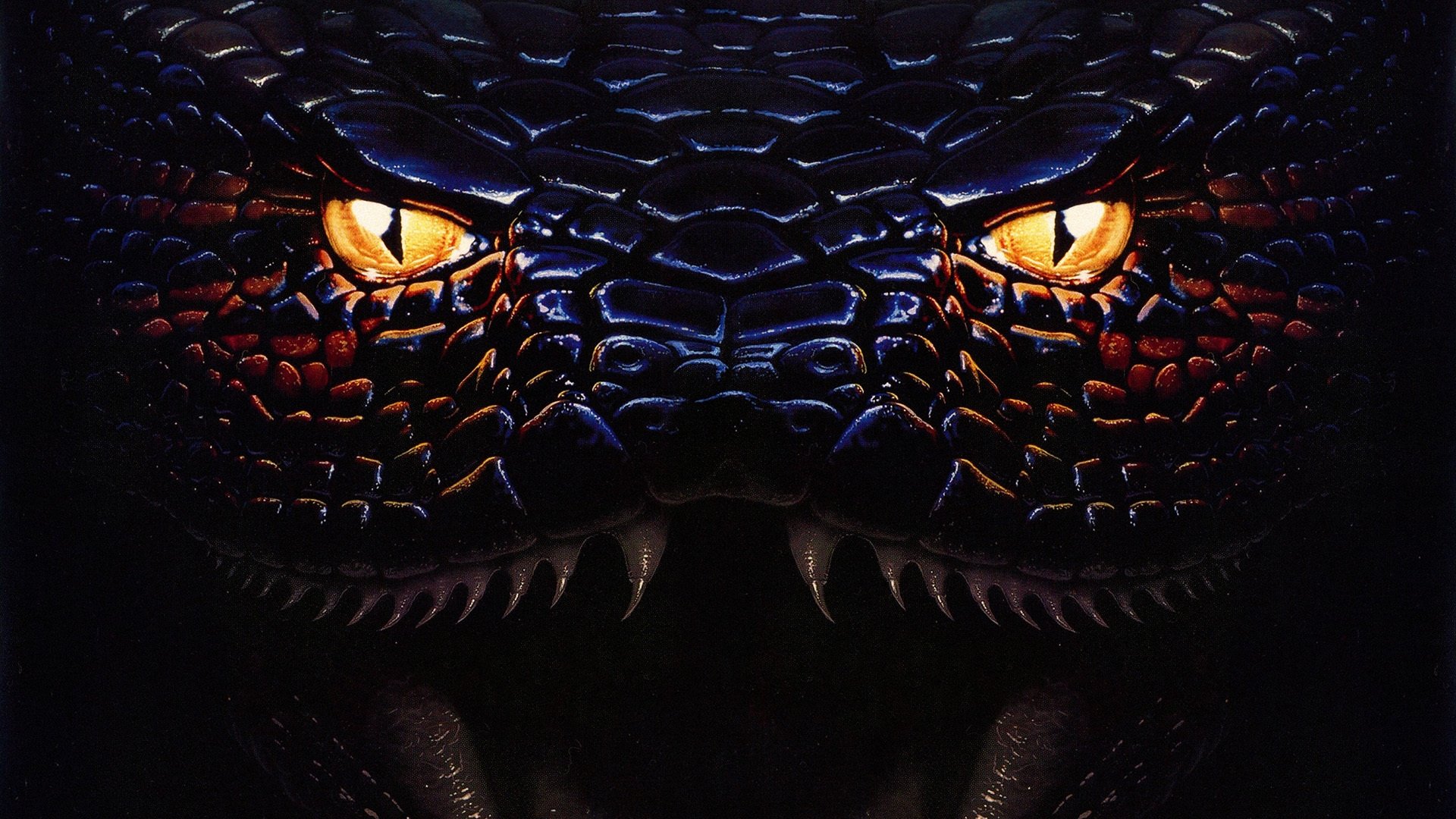 Anaconda Background
