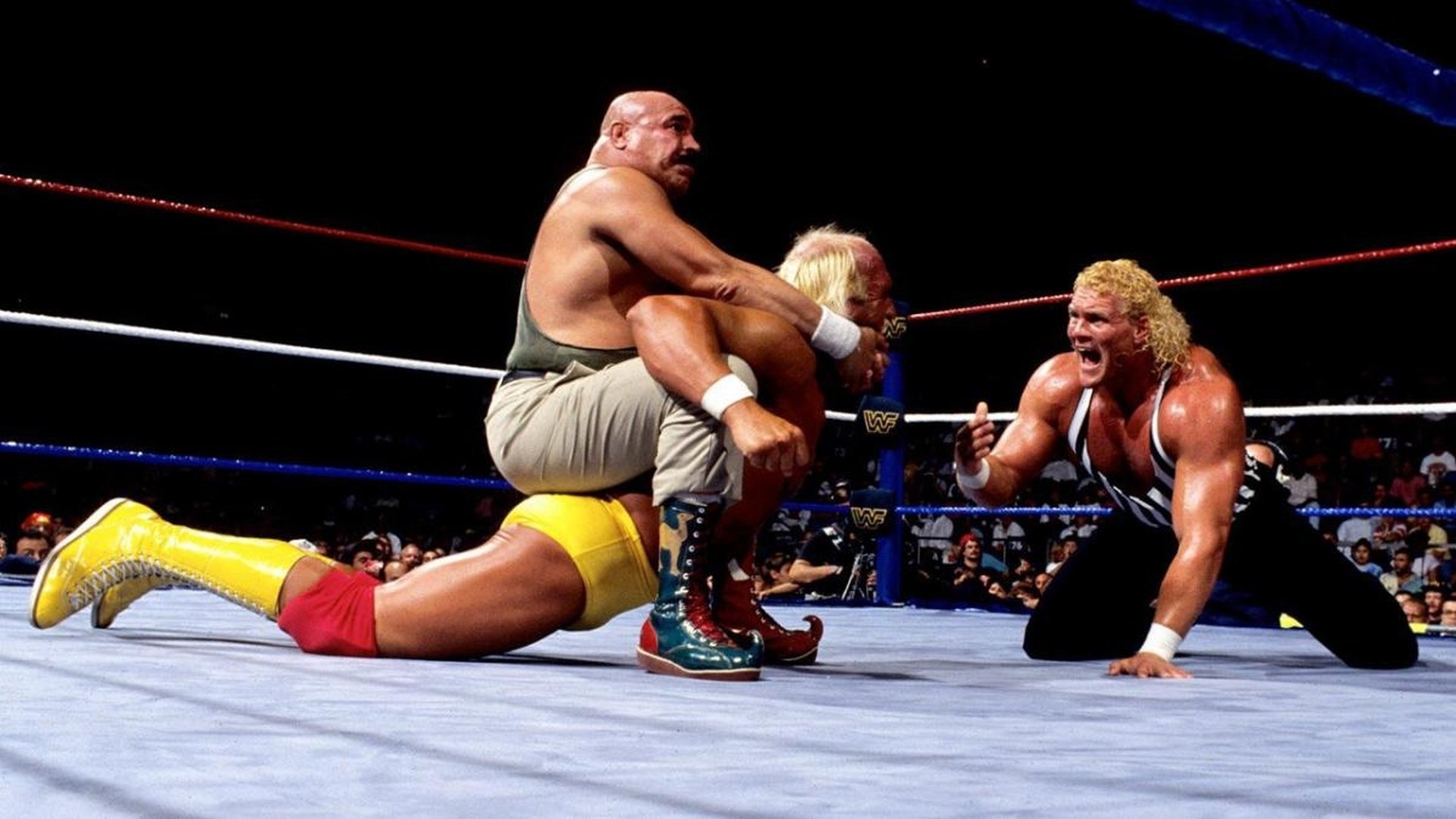 WWE SummerSlam 1991 Background