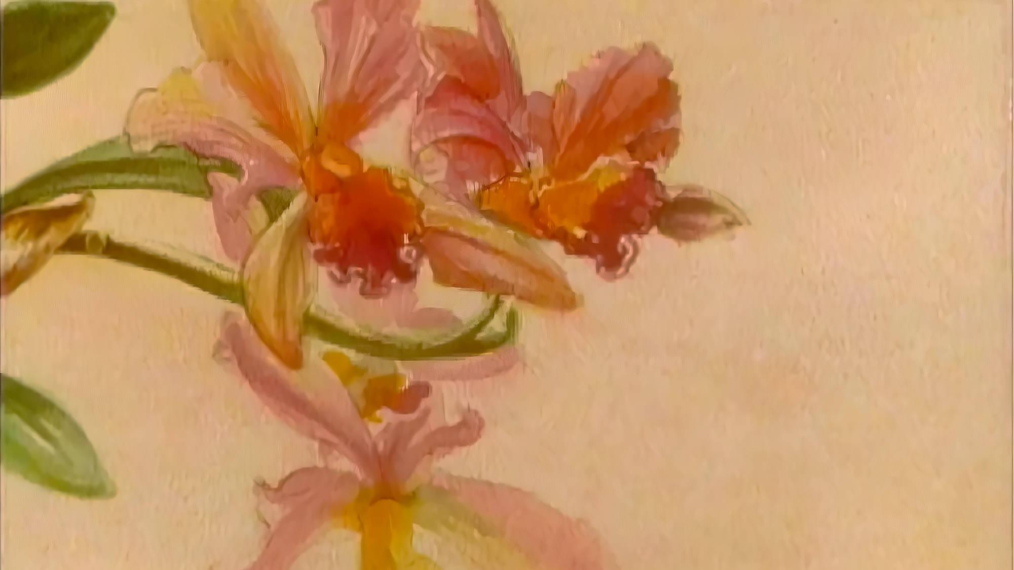 The Orchid House Background