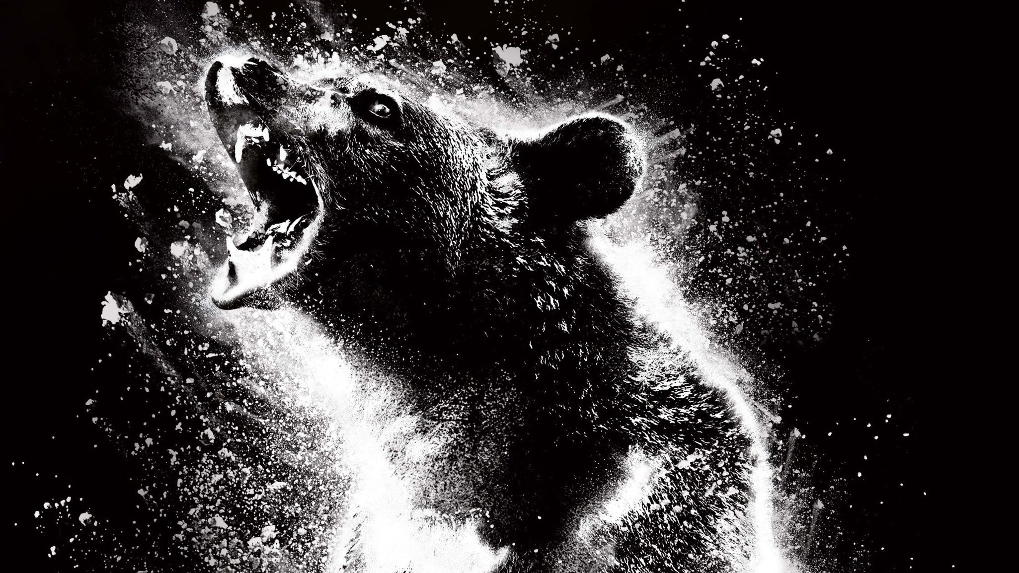 Cocaine Bear Background