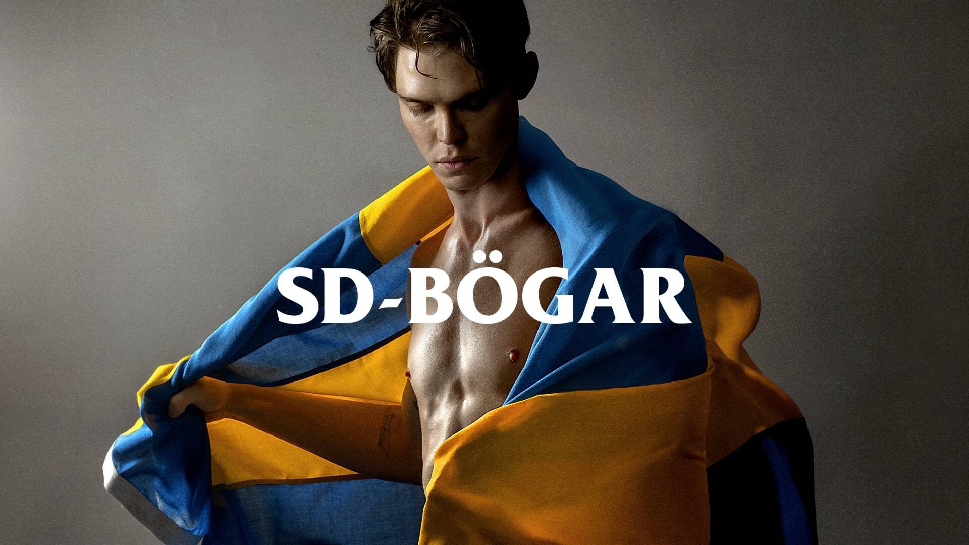 SD-Bögar Background