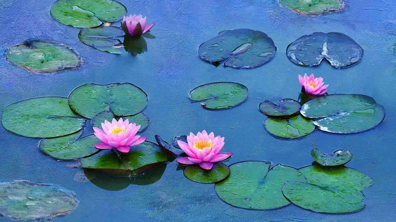 Water Lilies by Monet Background