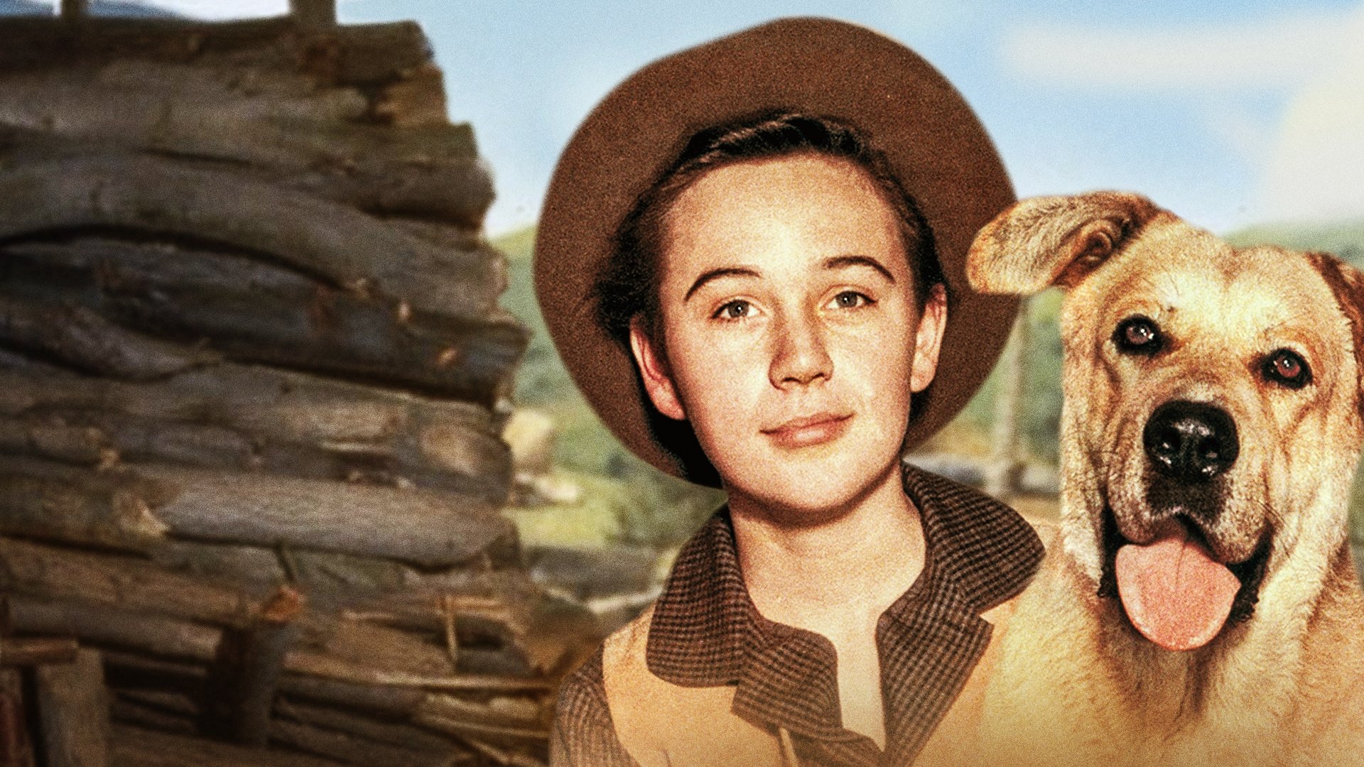 Old Yeller Background