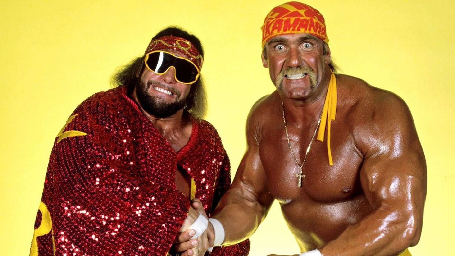 WWE Survivor Series 1988 Background
