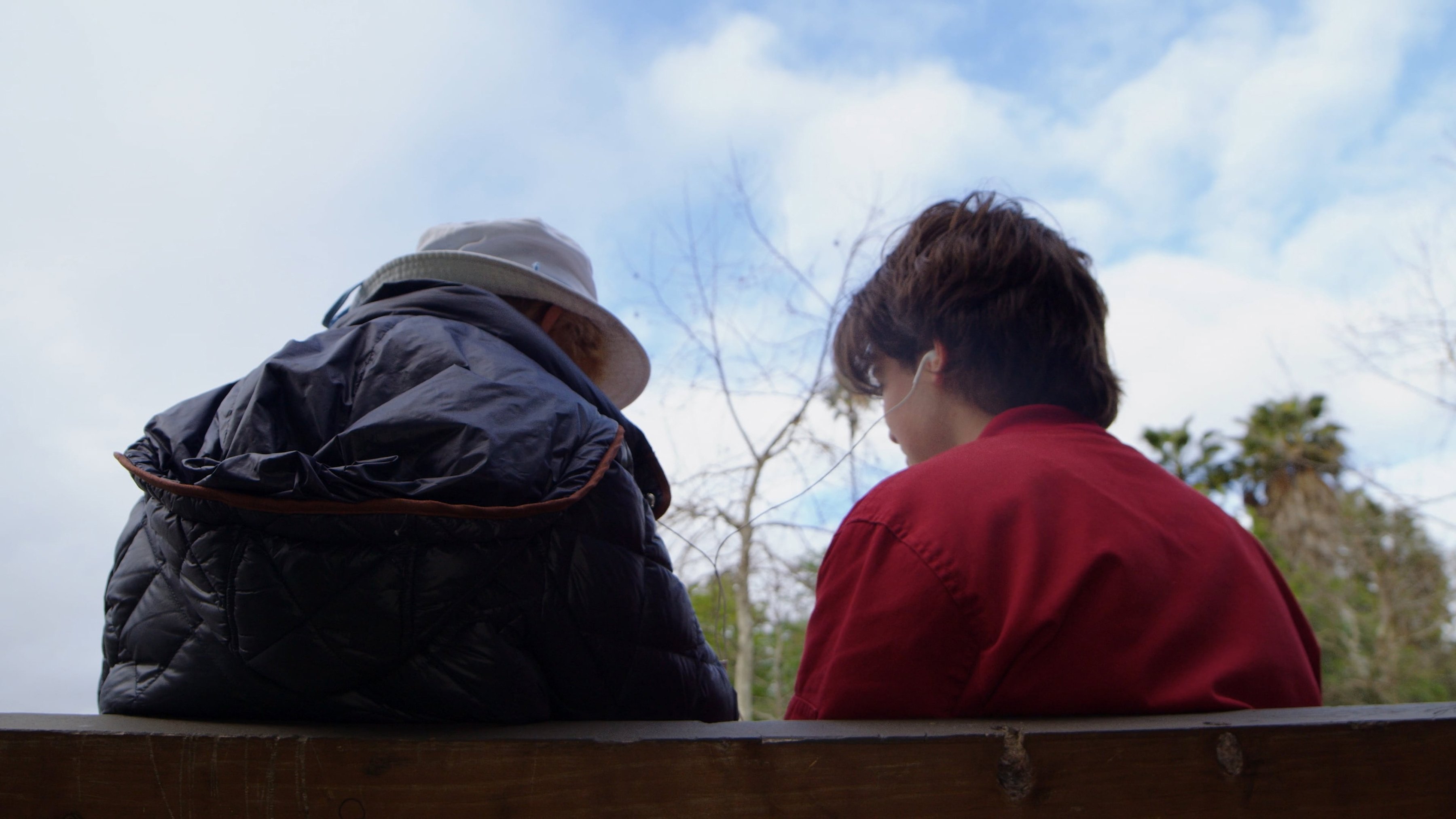 Perspectives on a Park Bench Background