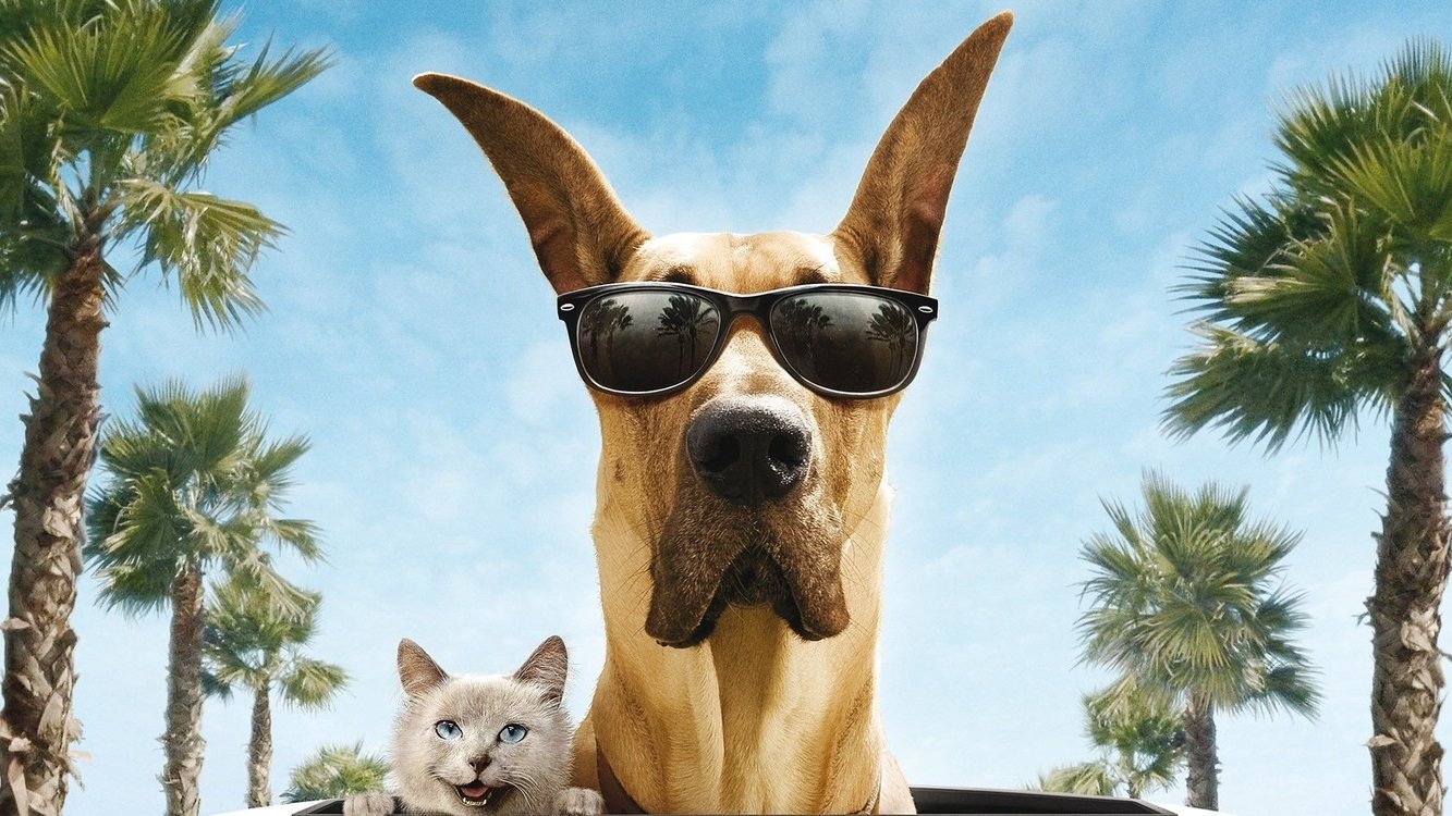 Marmaduke Background